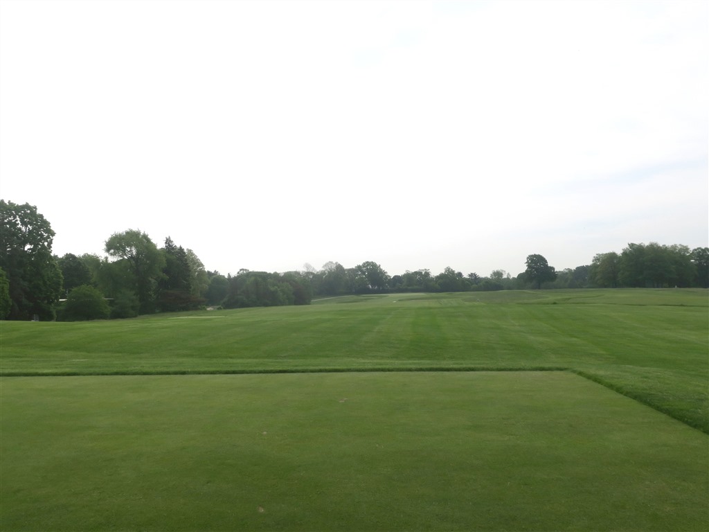 オフグリーン OFF GREEN CHICAGO ゴルフ シャツ 未使用品 オフグリーン OFF GREEN CHICAGO ゴルフ シャツ 未使用品